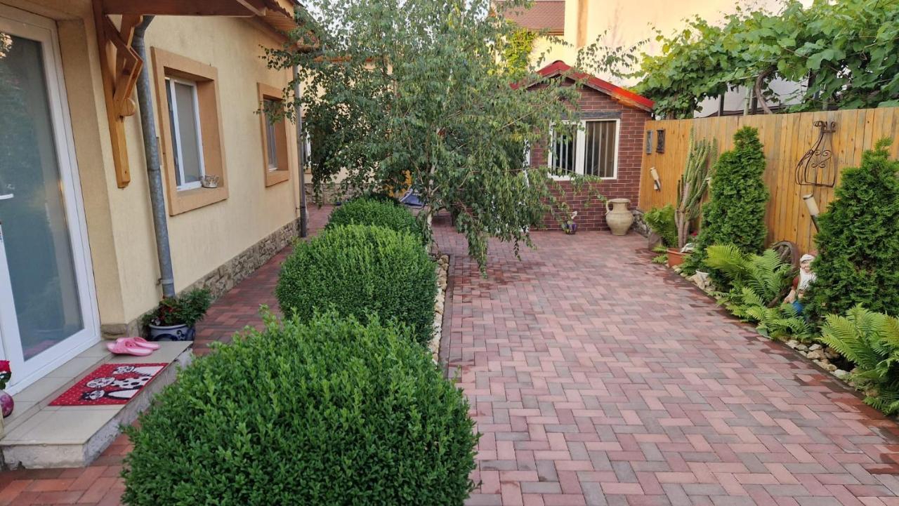Casa Teo Hotel Buzau Bagian luar foto