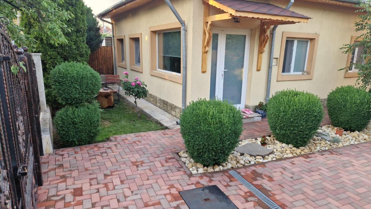 Casa Teo Hotel Buzau Bagian luar foto
